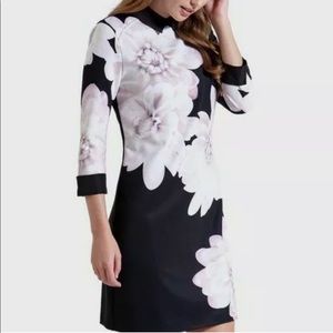 Ted baker dahlia dress -perfect condition!